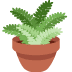 potted_plant